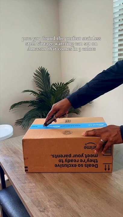 Indoor Outdoor Stainless Steel Watering Cans for House Plants | Long Spout Water Can for Succulent