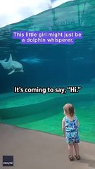Little girl and super social dolphin stop to have a sweet chat _ Humankind #shorts #goodnews