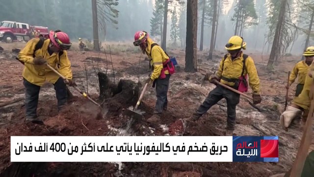 دمرت 400 ألف فدان.. حرائق الغابات تستعر في ولاية كاليفورنيا للأسبوع الثاني