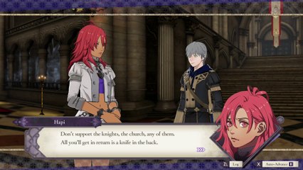 Fire Emblem Three Houses - Ashe and Hapi