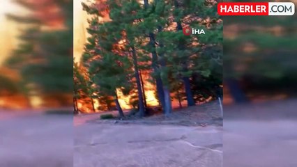 California tarihinin en büyük 4. orman yangını: 400 bin dönümden fazla alan kül oldu
