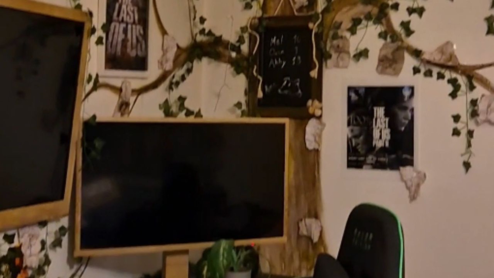 ⁣Girl builds 'The Last of Us' inspired PS5 gaming setup for her room