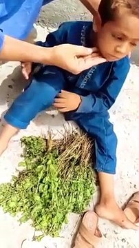 ہائے اللہ یہ ہے پاکستان کی غربت۔ اس ویڈیو کو زیادہ سے زیادہ شیئر کریں۔