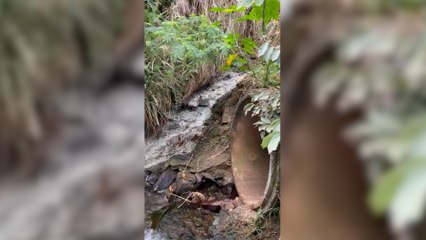 Denúncia: Moradores reclamam de odor forte em rio no Bairro Claudete