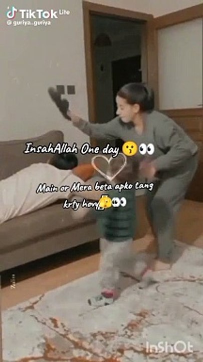 Funny videos