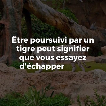 Rever de tigre : interprétation et signification