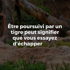 Rever de tigre : interprétation et signification