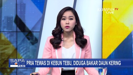 Download Video: Seorang Pria di Ponorogo Tewas di Kebun Tebu, Diduga Bakar Daun Kering