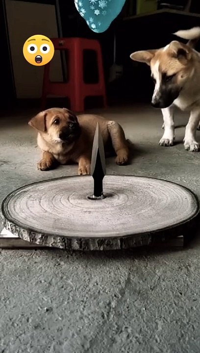 #Trending Amazing Video