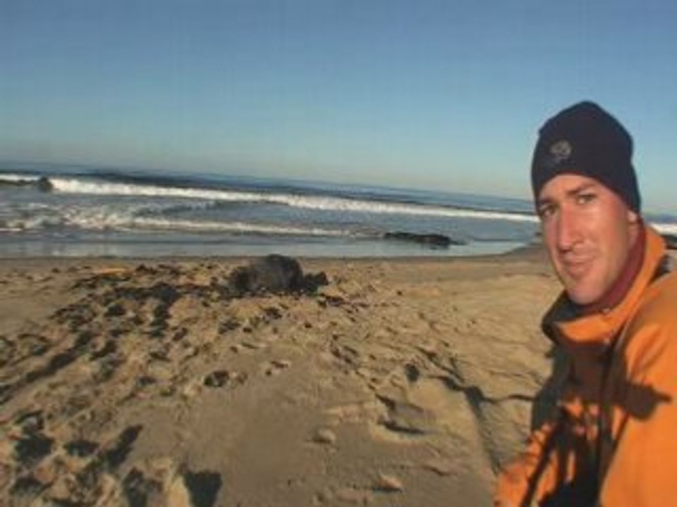 Arian en NZ 6