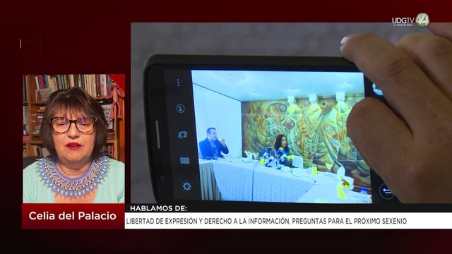Libertad de expresión y derecho a la información, preguntas para el próximo sexenio: Celia del Pala