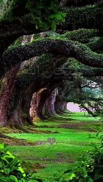 سبحان الله والحمد لله ولا اله الا الله والله اكبر