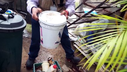 Aumenta dengue, pero solo cuatro de cada 10 dejan pasar a brigadistas para exterminar moscos