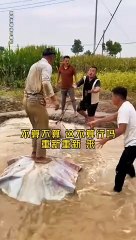 Try not to laugh save yourself from swing