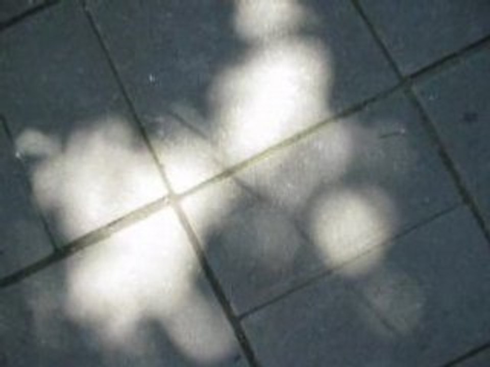 lumieres naissantes