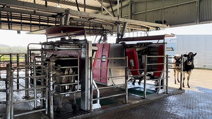 Gippsland farmers install 10 milking robots | Stock & Land