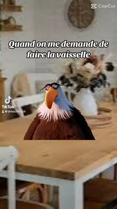 Quand on me demande de faire la vaisselle