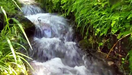 "Nature's Melody: Beautiful Water Soundscapes for Peace"