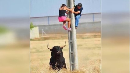 Funniest Fails Of The Year Compilation 2024