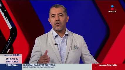 Perritos participan en el Campeonato Mundial de Surf Canino