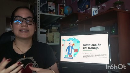 EXPOSICION PLAN PUBLICITARIO