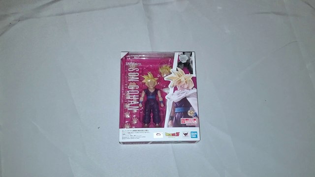 S.H. Figuarts Dragon Ball Z Super Saiyan Son Gohan -The Fighter Who Surpassed Goku Unboxing & Review