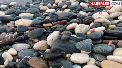 200 binden fazla yavru caretta denizle buluşuyor