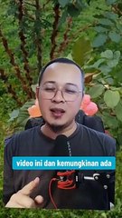 Pengobatan Luka Diabetes Paling Aman Menggunakan Terapi Herbal Channamax dan Glucacare Bharata