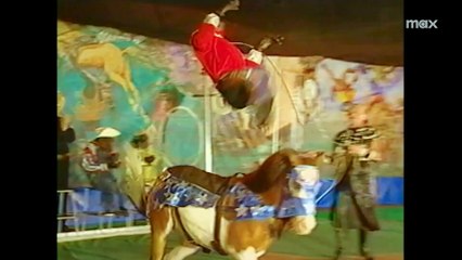 Chimp Crazy Trailer OV