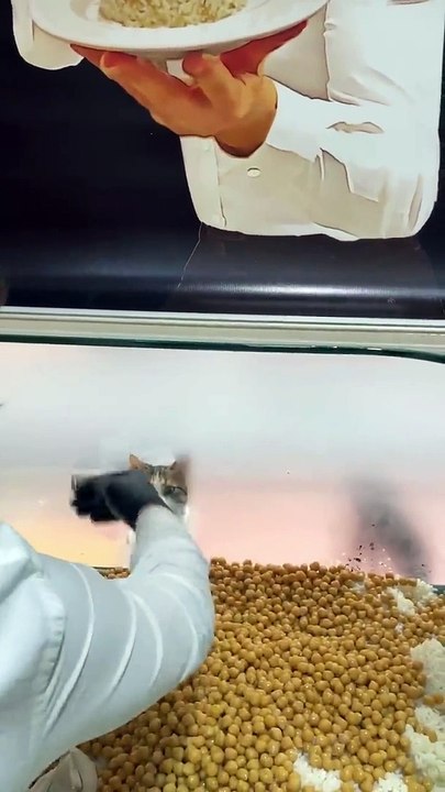 Italian chef amazing cooking  style ♥️