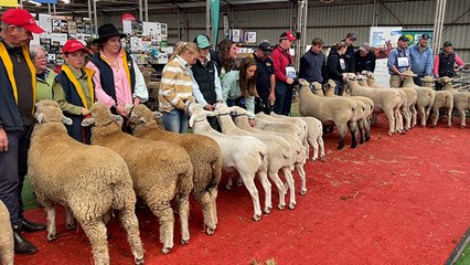 2024 Sheepvention interbreed winners | Stock & Land