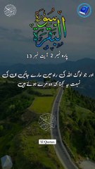 Surah Al Baqarah verses - 12 Urdu tarjama _alquran _qurantranslation _trending _shortvideo _short(720P_HD)