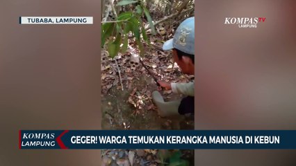 Geger! Warga Temukan Kerangka Manusia di Kebun