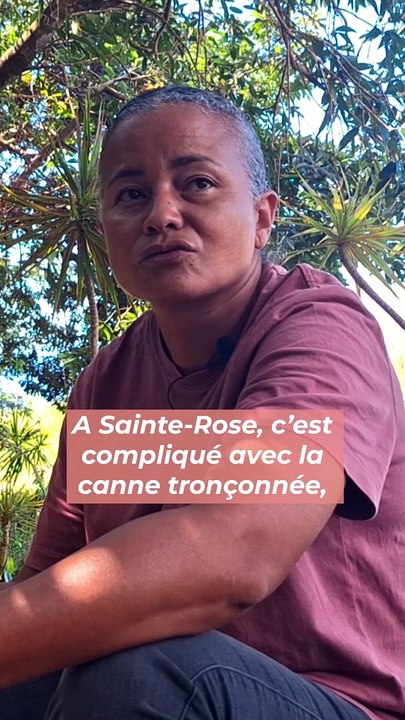 Cannes : Les agriculteurs veulent “être payés dignement”