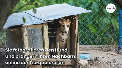 Nachbarn zeigen Tierquäler an und ahnen nicht, dass der Mann ein Held ist