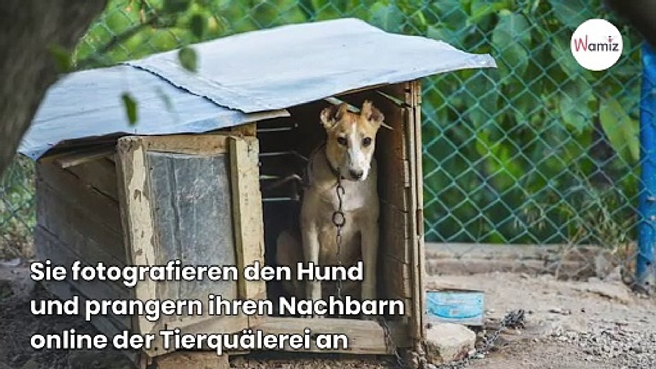 Nachbarn zeigen Tierquäler an und ahnen nicht, dass der Mann ein Held ist