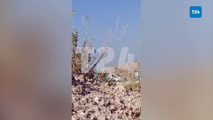 Niğde Belediyesi’nin barınağında küçük ırk köpekler uyutulup topluca gömüldü, avukatlar suç duyurunda bulundu