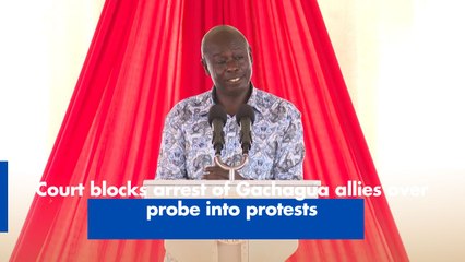 Court blocks arrest of Gachagua allies over probe into protests
