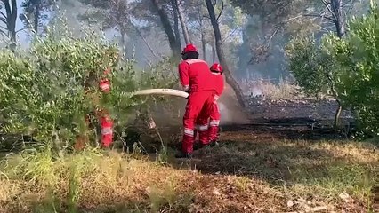 Hősies küzdelem az erdőtüzek ellen Albániában és Horvátországban 🚒