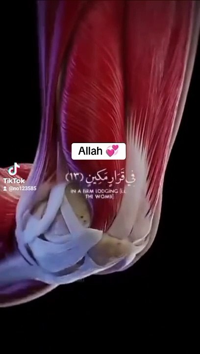Allah hu Allah hu 