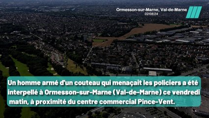 Un homme armé hurlant 'Allah Akbar' arrêté