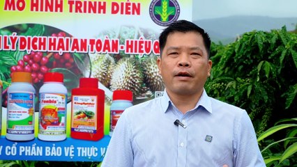 MÔ HÌNH QUẢN LÝ DỊCH HẠI AN TOÀN, HIỆU QUẢ TRÊN CÂY CÀ PHÊ