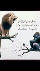 خاموشی سے بڑی کوئی چیخ نہیں #trending#viral#shorts#islamic#foryou#dailymotion#share