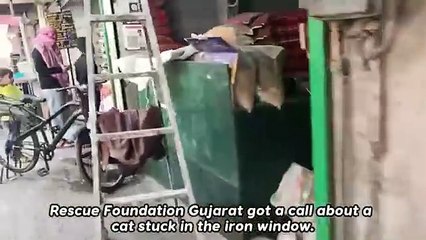 The-Cat-s-Head-trapped-in-Metal-Shop-Win_20