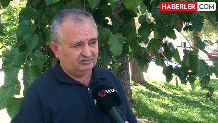 Denizli'de 5 bin yıllık musalla taşı bulundu