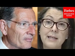 John Barrasso Grills DoI Official On Resource Plan That Would 'Devastate' Constituents' Lives