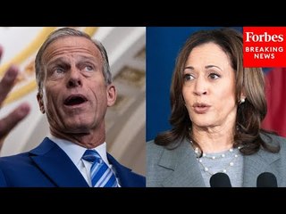 'Utter And Dismal Failure': John Thune Blasts Kamala Harris Over Border Security