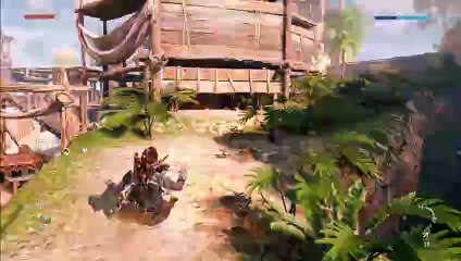 Horizon Forbidden West