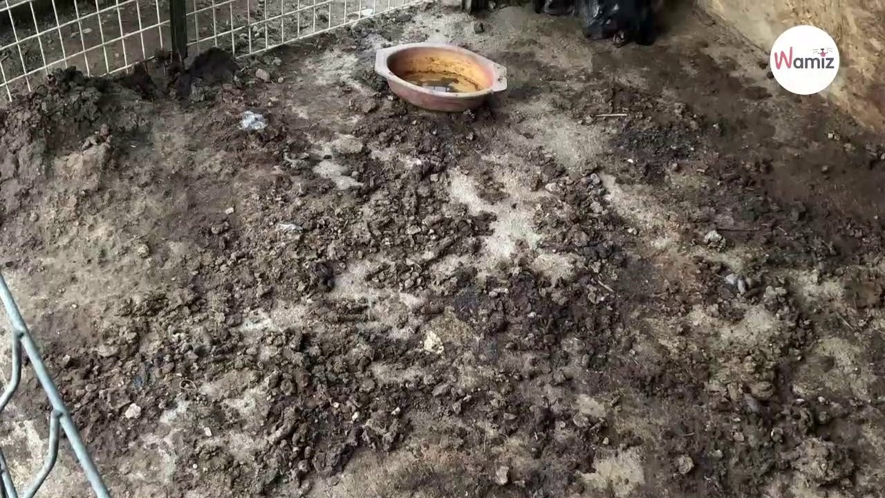 Schlimmer Gestank: Kurz darauf erblickt ein Mann die Hölle auf Erden