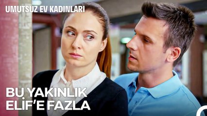 Yeni Aşka Yelken Açamama Girişimi - Umutsuz Ev Kadınları